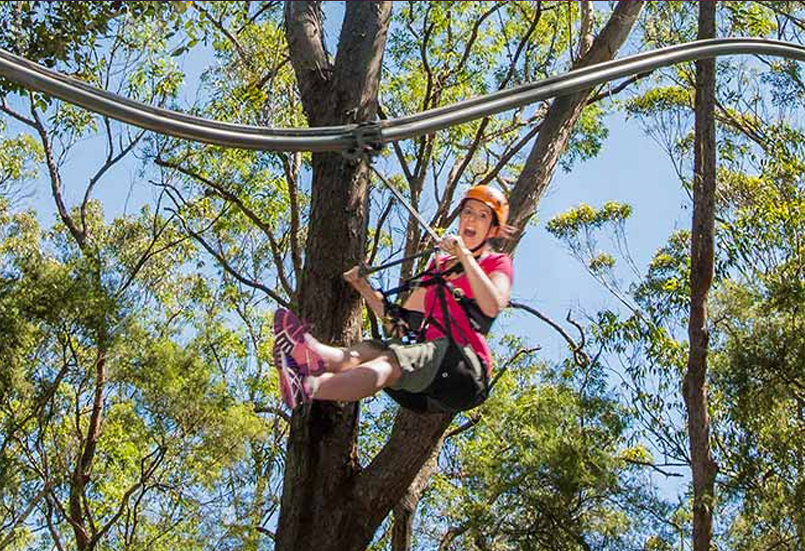 Tree Tops Adventure